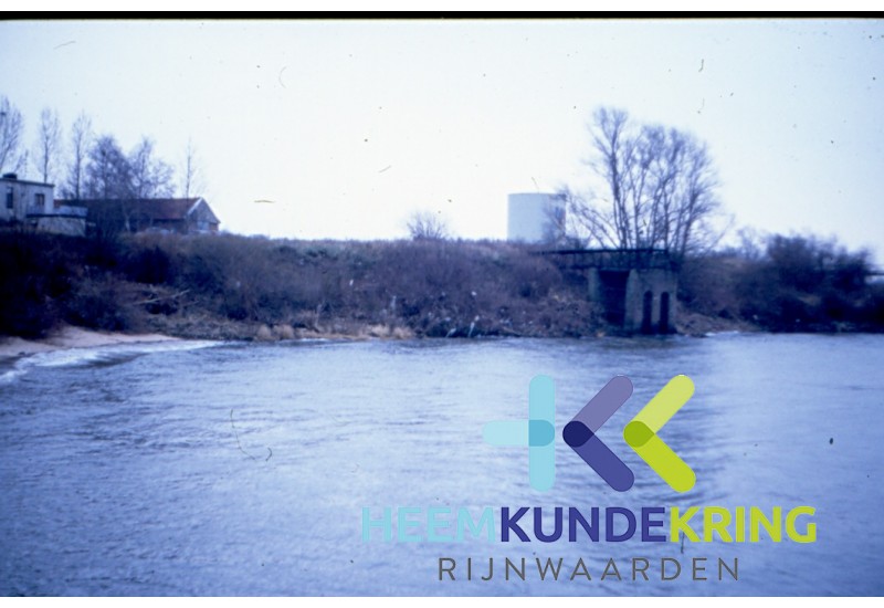 Vliegenwaard F00002604